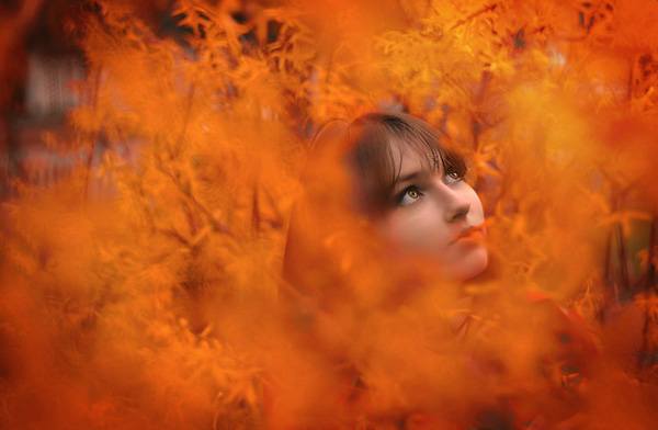 Иллюстрация. Название: «Взгляд на оранжевый мир». Автор: Сергей Балуев. Источник: http://www.photosight.ru/photos/3729282/