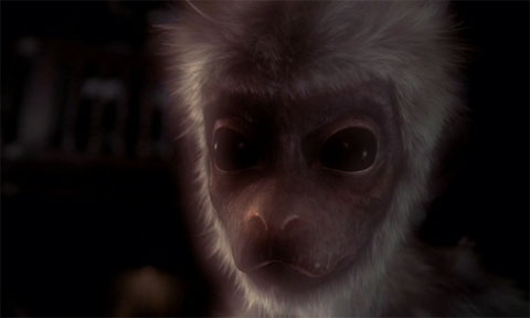 Кадр из фильма «Не думай про белых обезьян»
